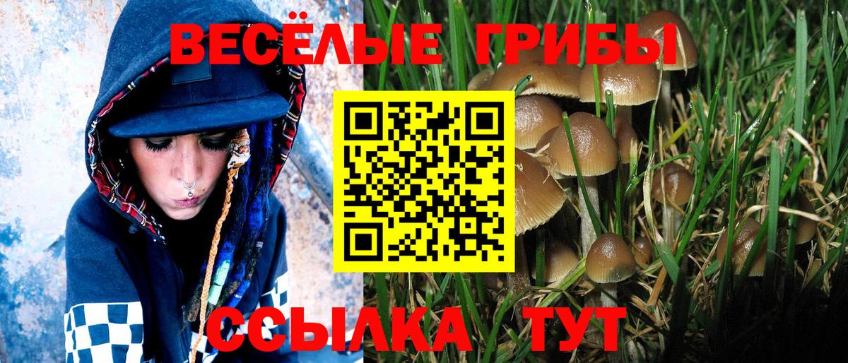 Псилоцибиновые грибы прущие грибы Саранск