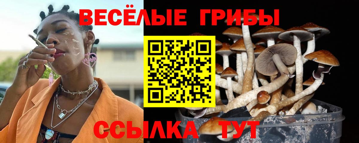 Галлюциногенные грибы Psilocybine cubensis  Галлюциногенные грибы Psilocybine cubensis  Вход с VPN  Саранск 