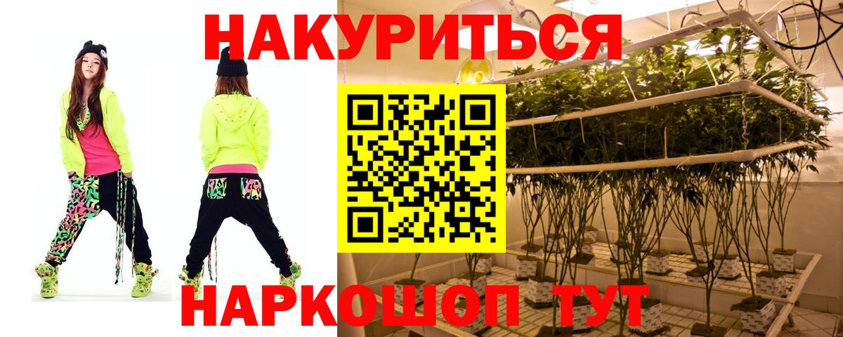 МАРИХУАНА ГИДРОПОН  МАРИХУАНА ГИДРОПОН  Саранск  Вход с VPN  Конопля SATIVA & INDICA 